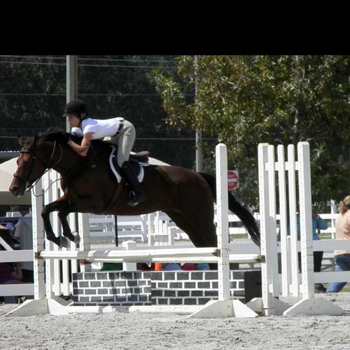 Just a college kid enjoying life. I'm also on the UWF equestrian team.