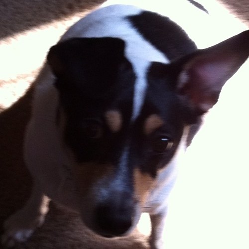 OldWriterTyler's profile picture. I make #Minecraft maps and videos!  I'm always up for a collab!  18 years old