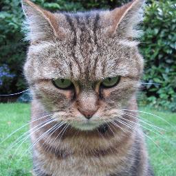 Kyrgyzboy's profile picture. 