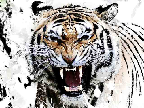 Murphy040901's profile picture. 