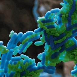 SciSpinning's profile picture. A blog about the art of turning publicly funded science into spinout companies