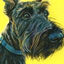 Jack Greenway - @JackGreenway1 - Twitter