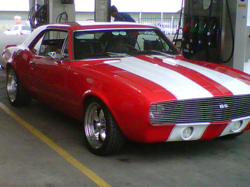 SA_Barnie's profile picture. 