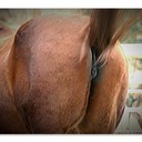 Anthony Mount - @anthonymount - Twitter