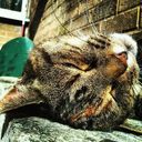 Ian Simmonds - @IanSimmian - Twitter