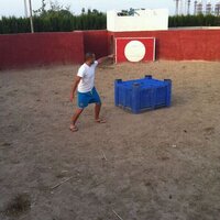 luis sanchez (@fontprim) 's Twitter Profile