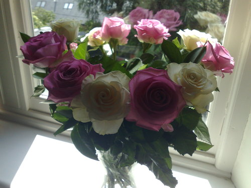 traceydavelucy's profile picture. 