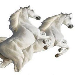 MOMBASAROADHOME's profile picture. Mombasa Road Homes Expo  is a bi annual trade exhibition for Real Estate Stakeholders to Network and Do Business.