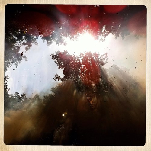 Fersal1994's profile picture. UVa Class of 2016