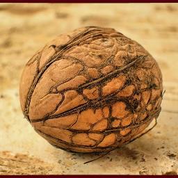 Stepaniri's profile picture. 