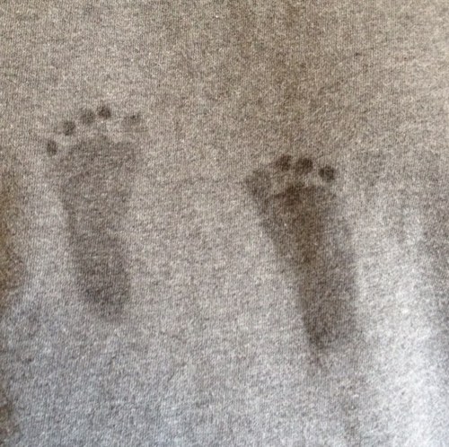 Jbrrod11's profile picture. 