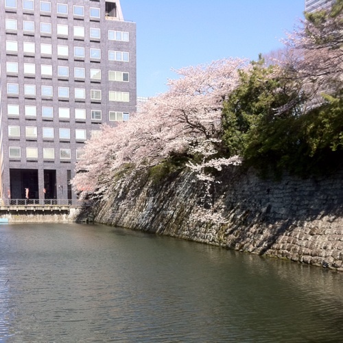 国家の諸条件は、領土、国民、主権。正しい国家観を持って公のために働く人々を応援しています。 国益とは何かを考えることで、教養と知識を蓄え国家へ貢献することが目的です。