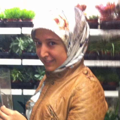 Ne diyordu ŞEMS; Olduğu Kadar, Olmadığı Kader.