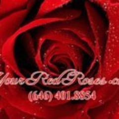 yourredrosescom's profile picture. 268 willis ave