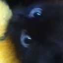 Sydney Day - @KatS1999 - Twitter