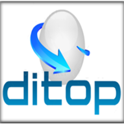 A DITOP Soluções online é especializada em tecnologia internet. Criação de sites profissionais.