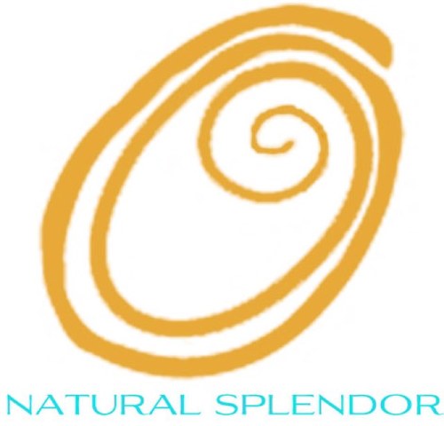 Natural Splendor Premium Hair Care Collection. Our moisture rich styler CURL CONDITIONING CREAM defines, hydrates and delivers lasting curls! #RespectTheCurl