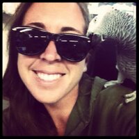 Alyssa Gintert (@alyssasthoughts) 's Twitter Profile