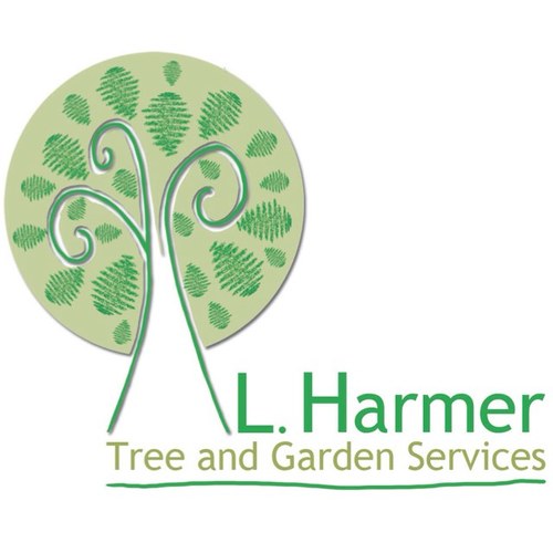 L Harmer Tree & Garden Services are a small private business based in Norwich, Norfolk. With over 10 years experience of Tree Surgery.