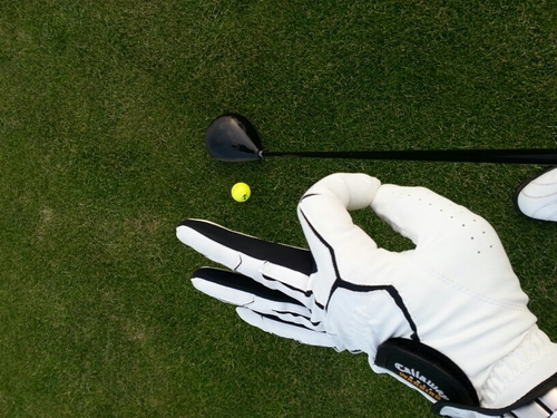 Renesalsa's profile picture. Ben ik de enigste die zich irriteert | Ik vind dat ik geen mening hoef te hebben. | Alles in het leven behoeft context. | perfectionits |