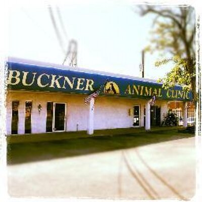 BucknerAnimalClinic bacdallas X