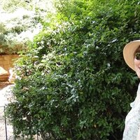 Frau Lotterfix (@fraulotterfix) 's Twitter Profile