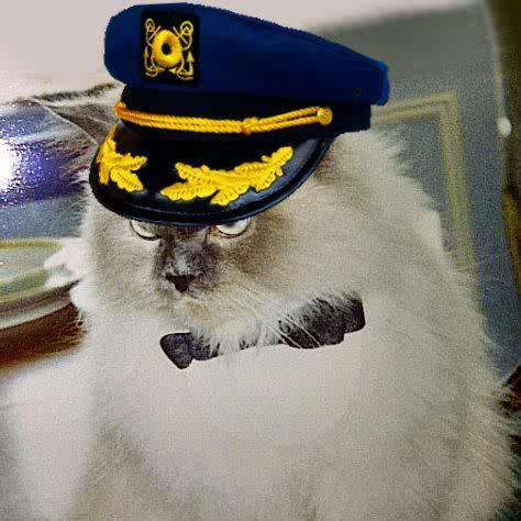 I am a NYC Himalayan owned by an Amazon Parrot. We winter in Palm Beach. PPl say our human is famous & handsome. Hi € Big kiss♥