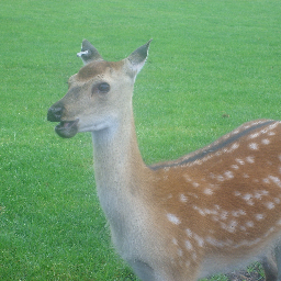 mrsnclarkson's profile picture. 