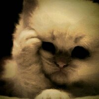 :/ (@anaach_bfloos) Twitter profile photo