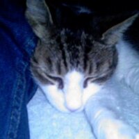 Gary (@gmckivett) 's Twitter Profile