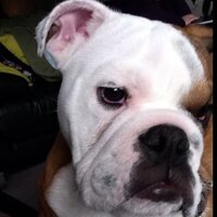 Qually (@qually_busdwarf) 's Twitter Profile