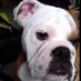 Qually (@qually_busdwarf) Twitter profile photo Qually (@qually_busdwarf) Twitter profile photo