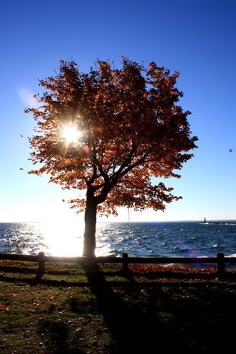 kirstibugs's profile picture. mwf-3kids, dog, job
I work. I take care of kids. I take care of a husband (though he's relatively self-sufficient). And I think I'm hilarious.