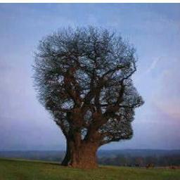 hamzamakumbi's profile picture. muslim