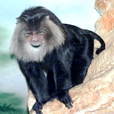 Ed Denny - @EdDenny1 - Twitter