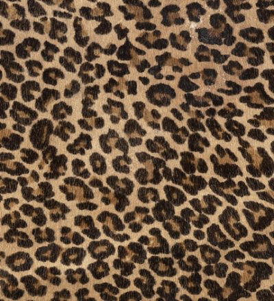 Everything Leopard