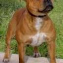 Joel Connor  - @JoelLadd2012 - Twitter