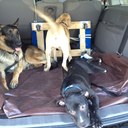 Danny Knox - @DannyBigdsmalls - Twitter