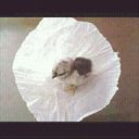 Jose Manuel Barba - @Barbikas_69 - Twitter