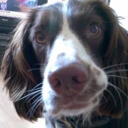 c_devlin1's profile picture. Jammie Dodgers hey! Happy Faces are better.✨😁✨
Enjoy your rollercoaster life 💝.