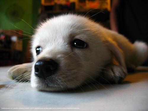 Hey I just met you. And this is crazy! But here's my twitter, so follow maybe! :)