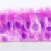 Respiratory Research (@respiratoryres) Twitter profile photo Respiratory Research (@respiratoryres) Twitter profile photo