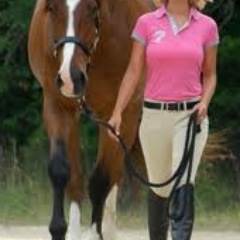 PreppyEquestria's profile picture. Polos, Pearls, Private Schools, and Ponies