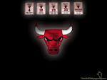 #FloridaGatorsFootballAndBasketball, #TennesseeTitans, #ChicagoBulls, #LaidBack, #TeamSingle, Anything else just ask. Follow me and I'll follow you.