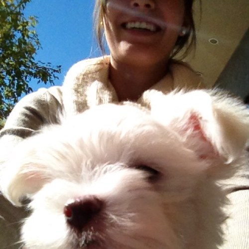 BJorkinatorr's profile picture. You love me, you love my cat