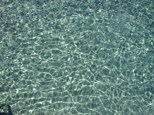 hilario18552923's profile picture. 