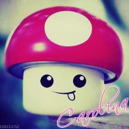 carolin92785825's profile picture. 