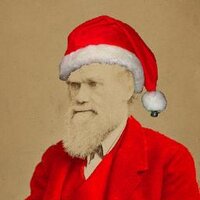 Jim Hewlett (@stxhook) 's Twitter Profile