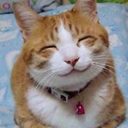 Jack Cork - @Jack_Cork - Twitter