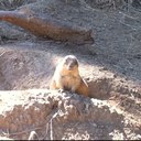 Jason Benner - @Fullblowntilt - Twitter